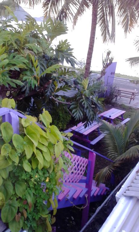 Somewhere Special Guesthouse Gros Islet Ngoại thất bức ảnh