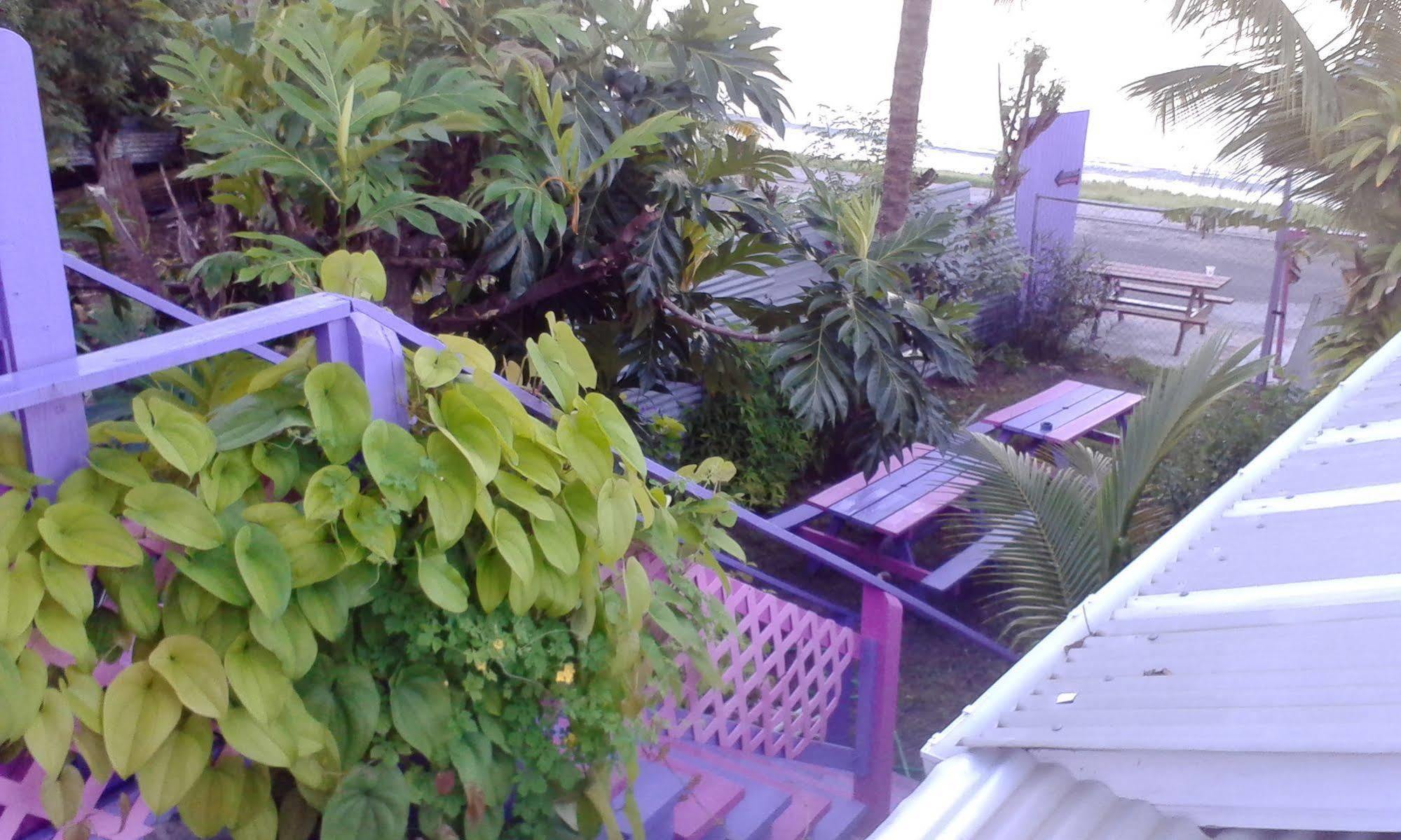 Somewhere Special Guesthouse Gros Islet Ngoại thất bức ảnh